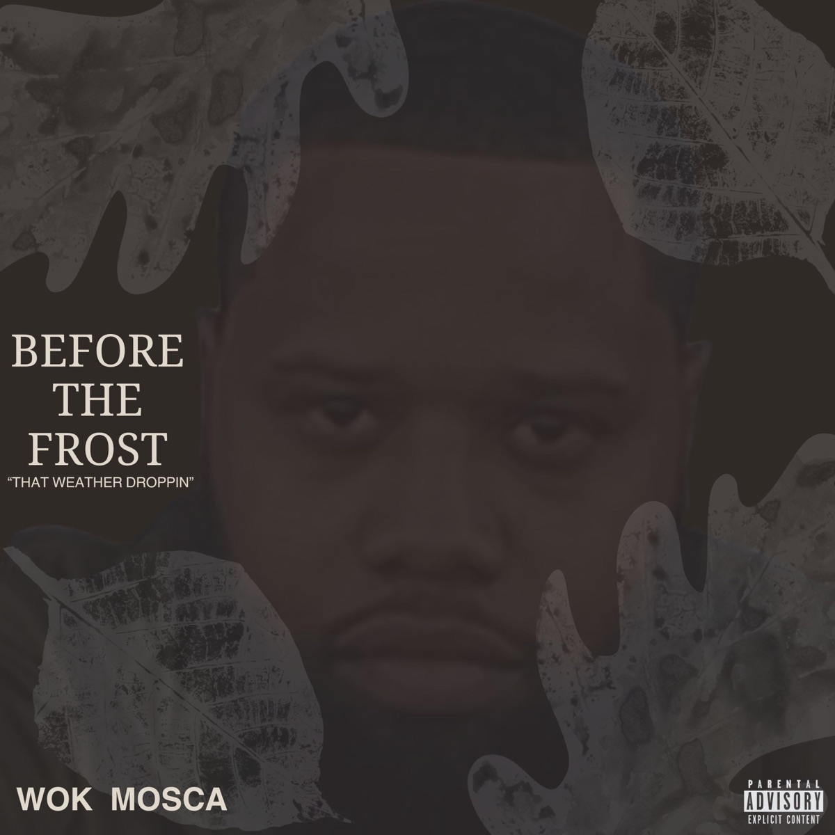 Before The Frost - EP by Wok Mosca album cover