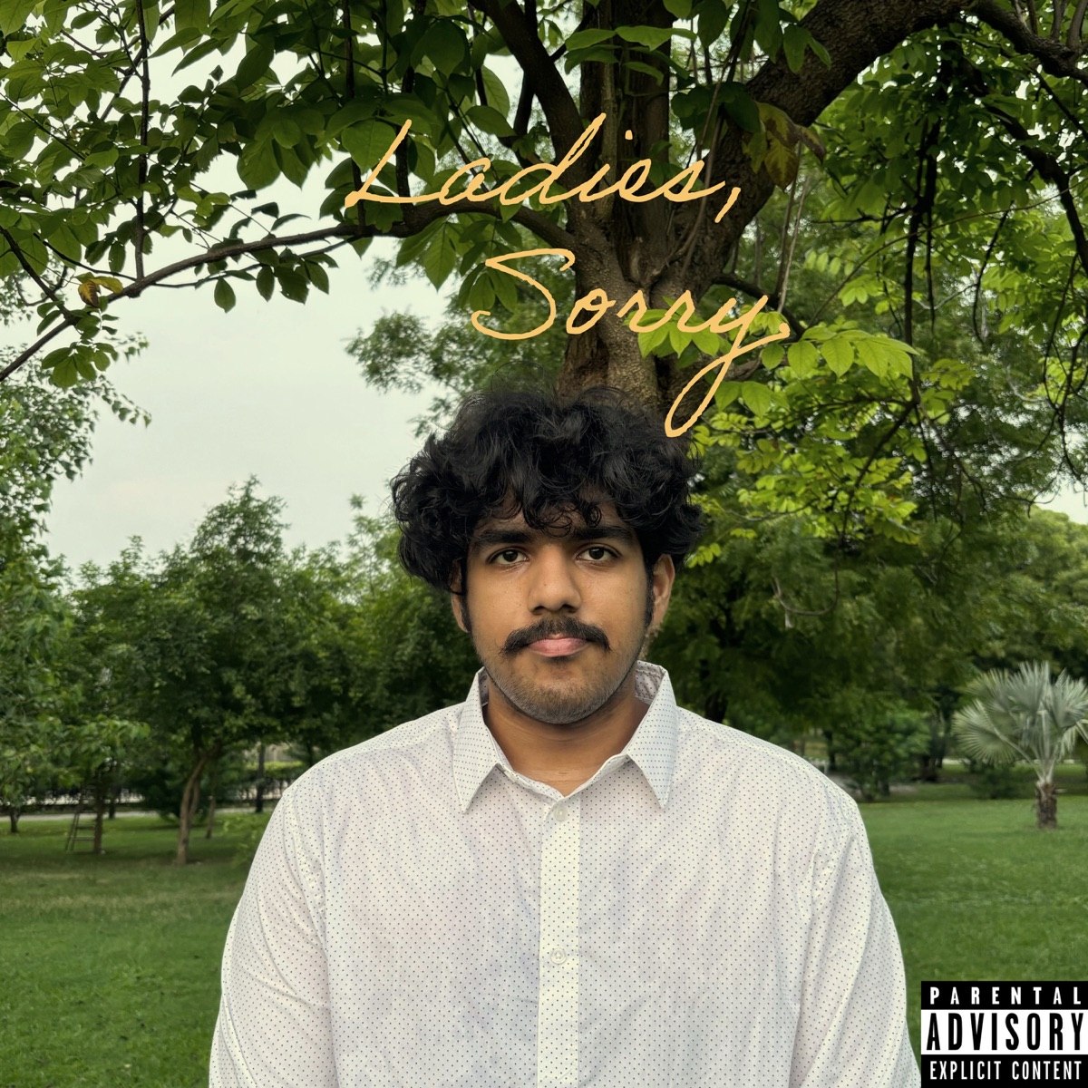 Sunny - Single by A. Roy, AyeTee & MC Nizz album cover