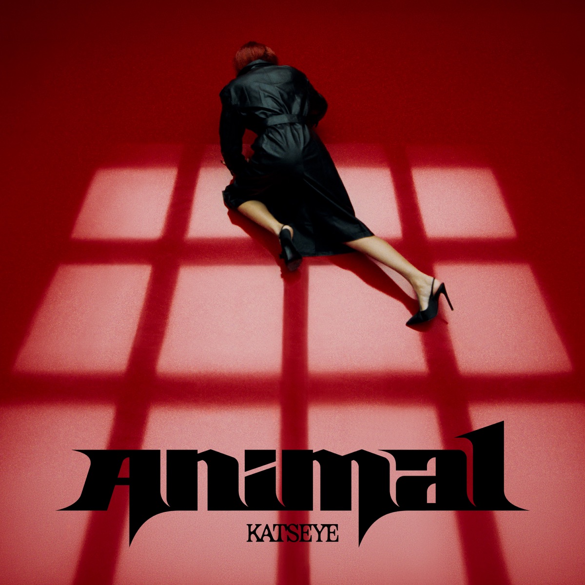 Animal - Single by KATSEYE album cover