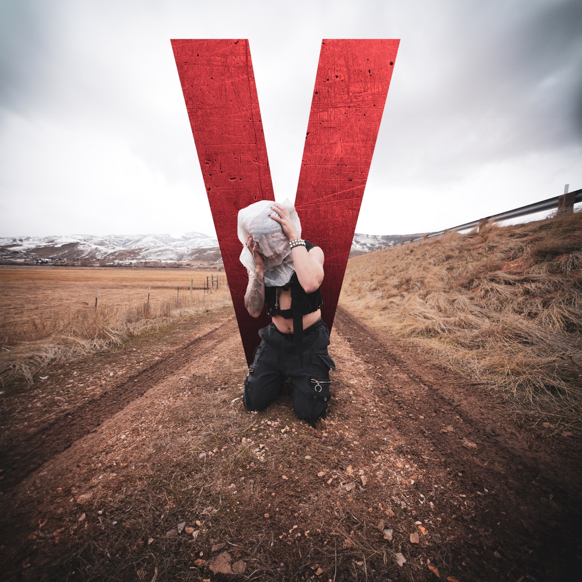Vendetta (feat. Johnny 3 Tears) - Single by TX2 & Johnny 3 Tears album cover