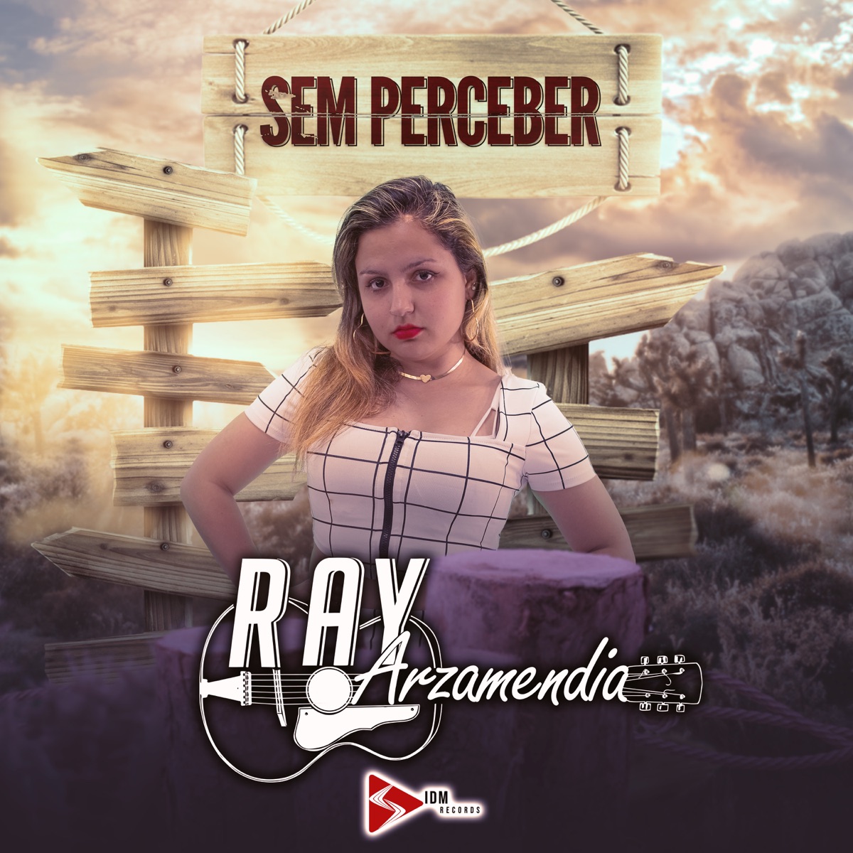 Sem Perceber - Single by Ray Arzamendia album cover