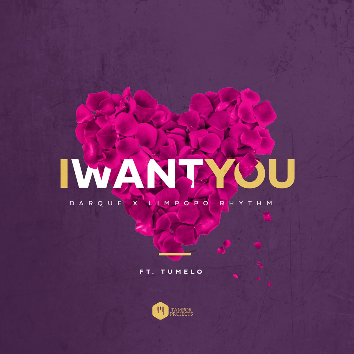 I Want You (feat. Tumelo) - Single by Darque & Limpopo Rhythm album cover