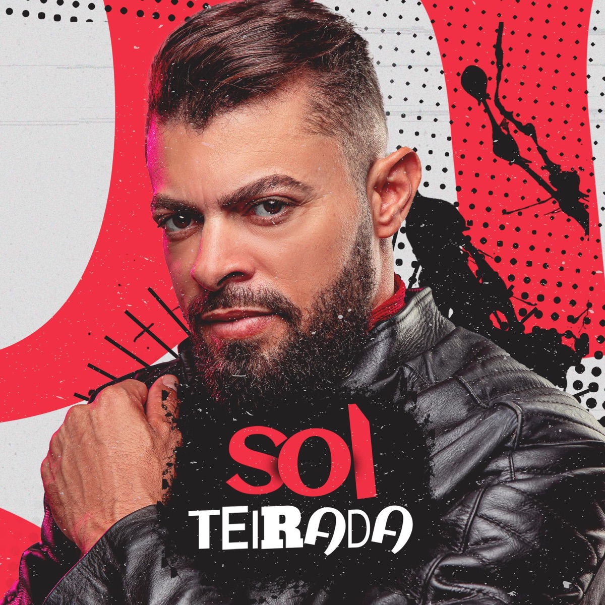 SOLTEIRADA by Walisson Maicon album cover