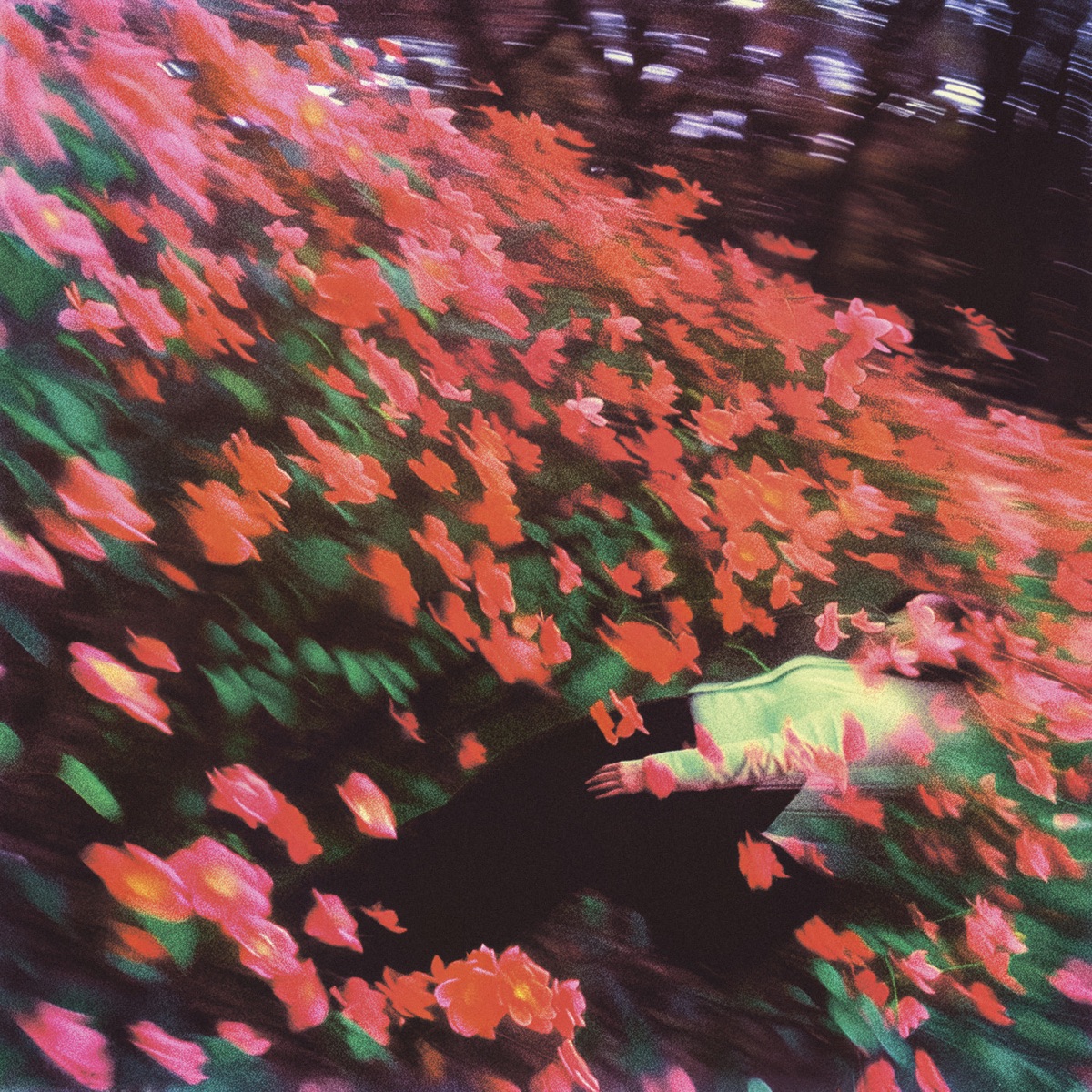 Drown - Single by EBEN album cover