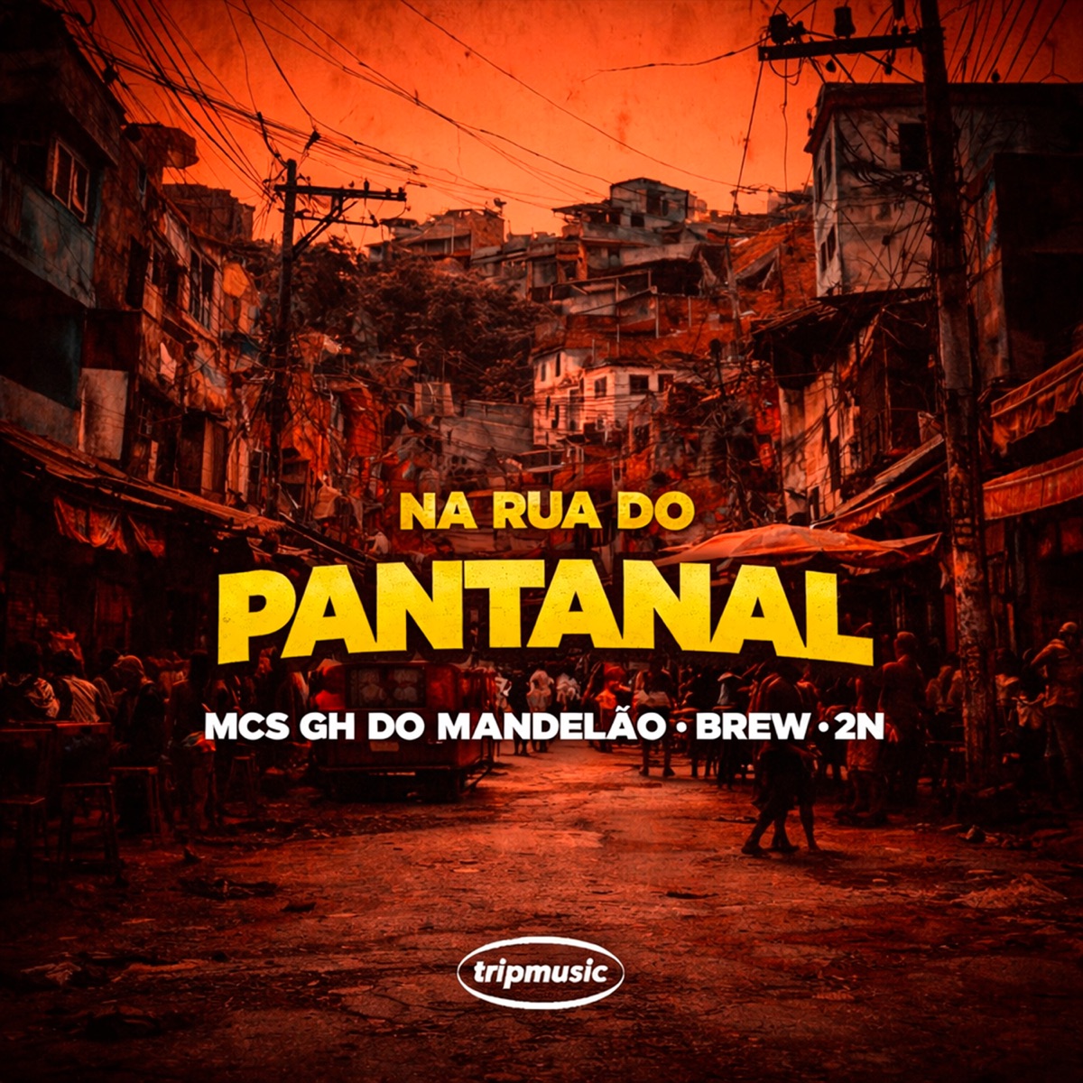 Na Rua do Pantanal (feat. TRIP MUSIC) - Single by MC GH do MANDELÃO & MC Brew album cover