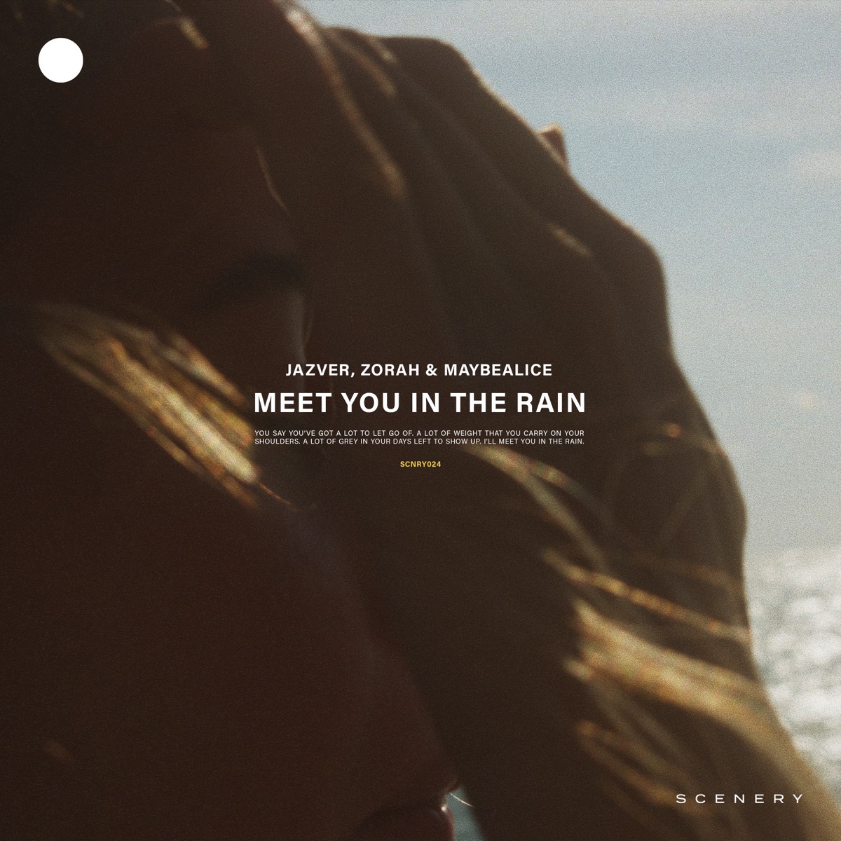 Meet You In The Rain (feat. maybealice) - Single by Jazver & Zorah album cover