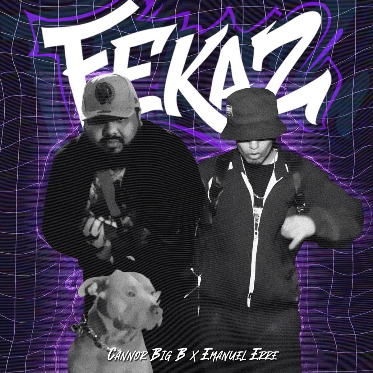 Fekaz - Single by Cannor Big B & Emanuel Erre album cover