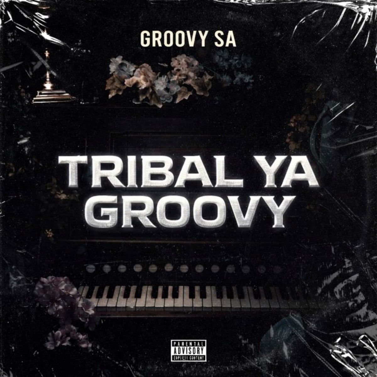 Tribal Ya Groovy - Single by Groovy SA album cover