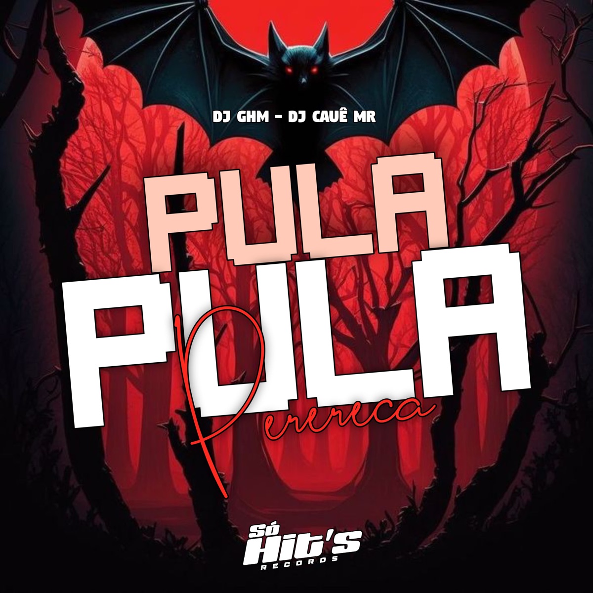 Pula Pula Perereca - Single by DJ GHM & DJ Caue MR album cover