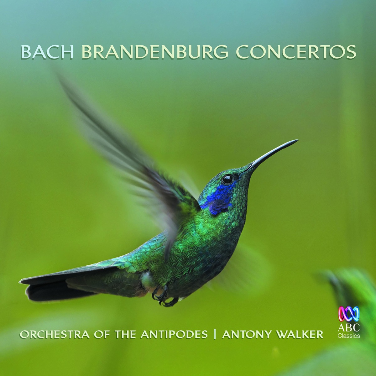 Bach: Brandenburg Concertos by Antony Walker & Orchestra of the Antipodes album cover
