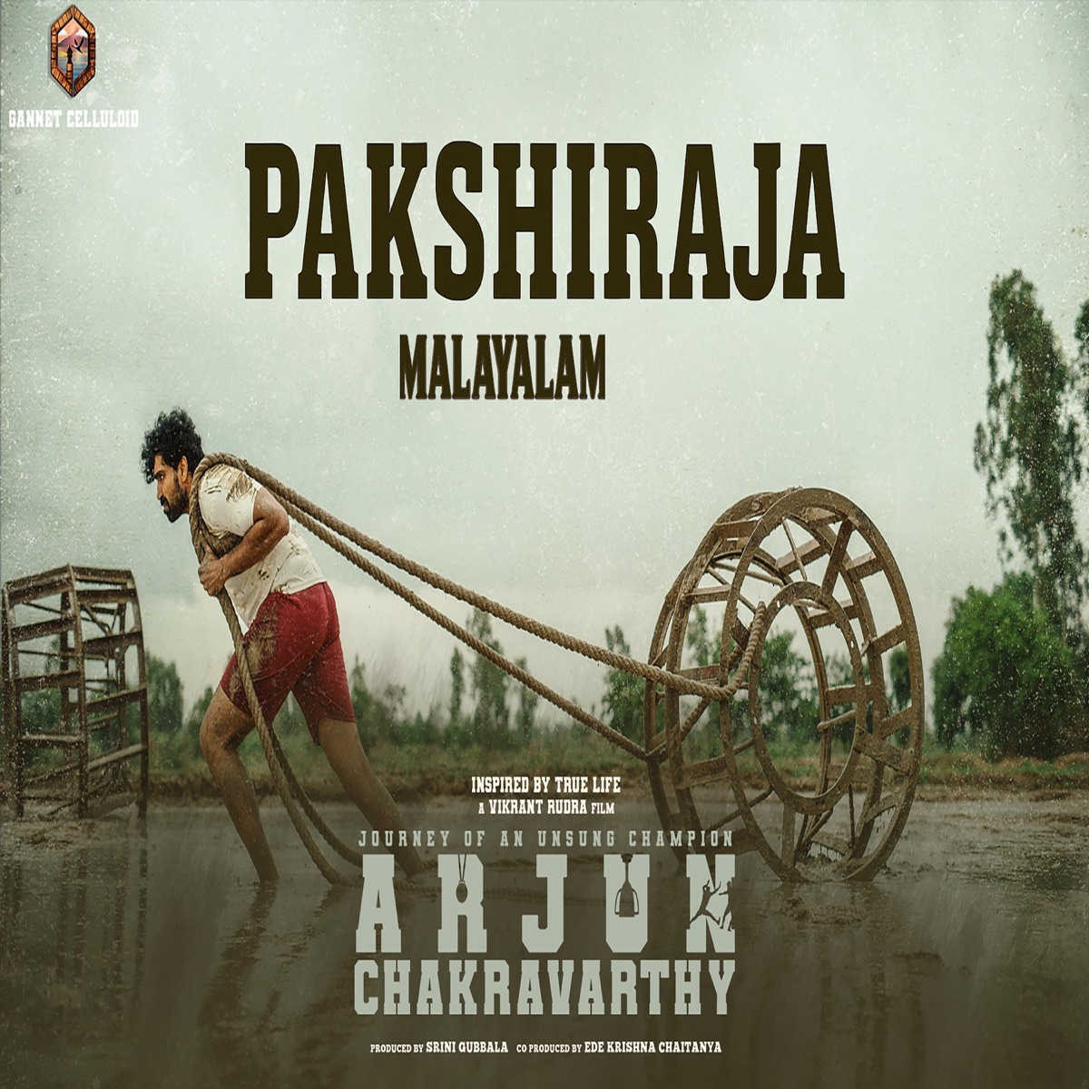 Pakshiraja(Arjun Chakravarthy)MALAYALAM - Single by Vignesh Baskaran album cover