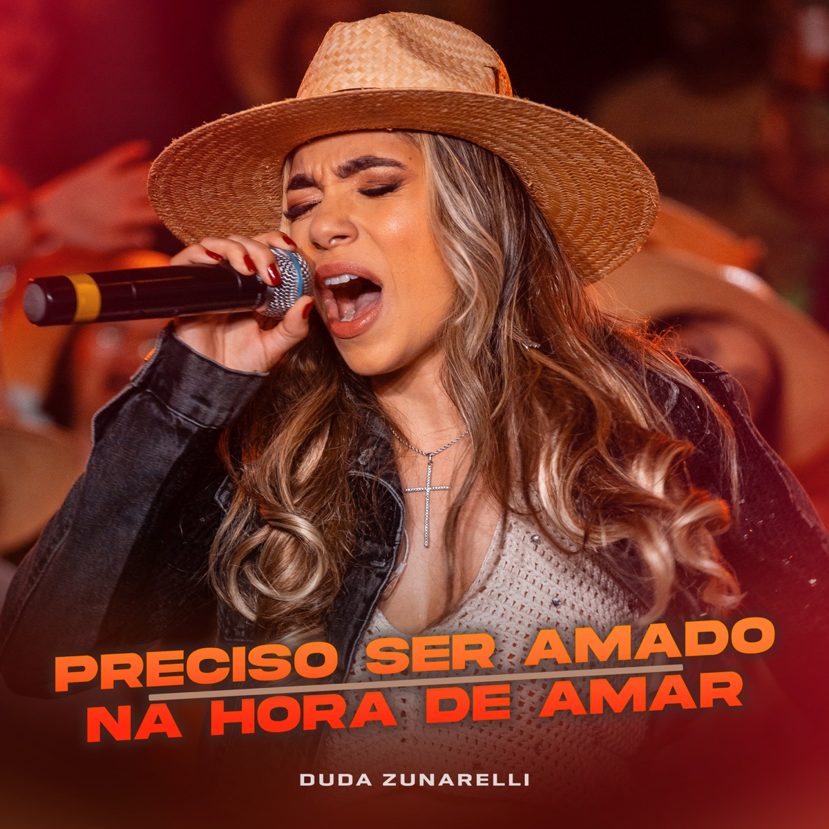 Preciso Ser Amado / Na Hora de Amar (Ao Vivo) - Single by Duda Zunarelli album cover