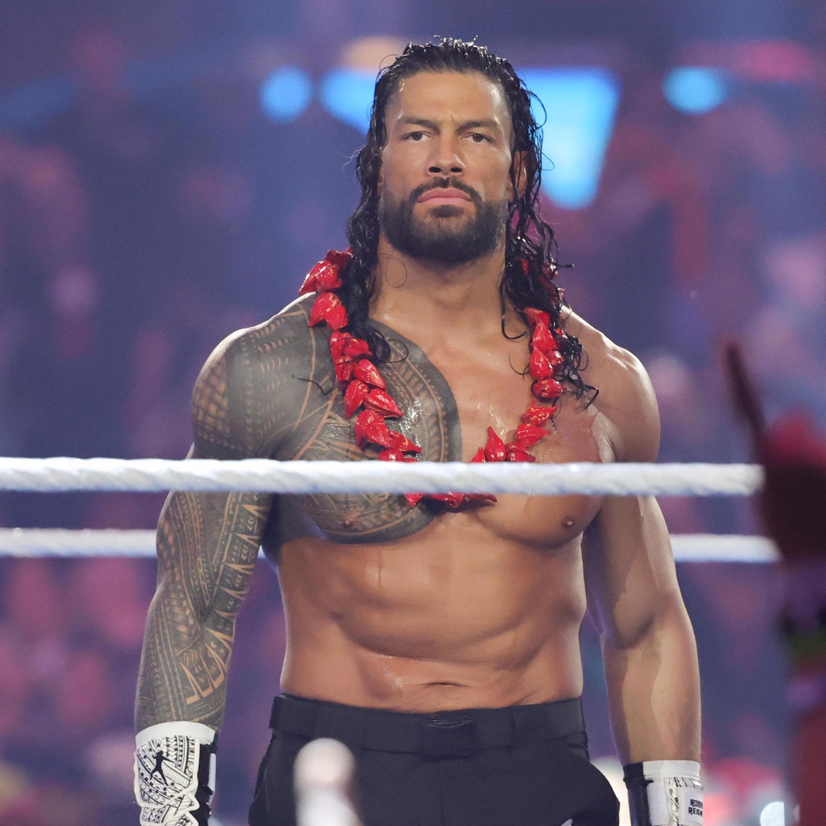 roman reigns - Single by 42FXNG album cover