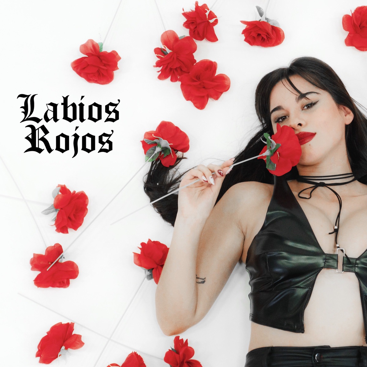 Labios Rojos - Single by ezequiel & Fabri Dj album cover