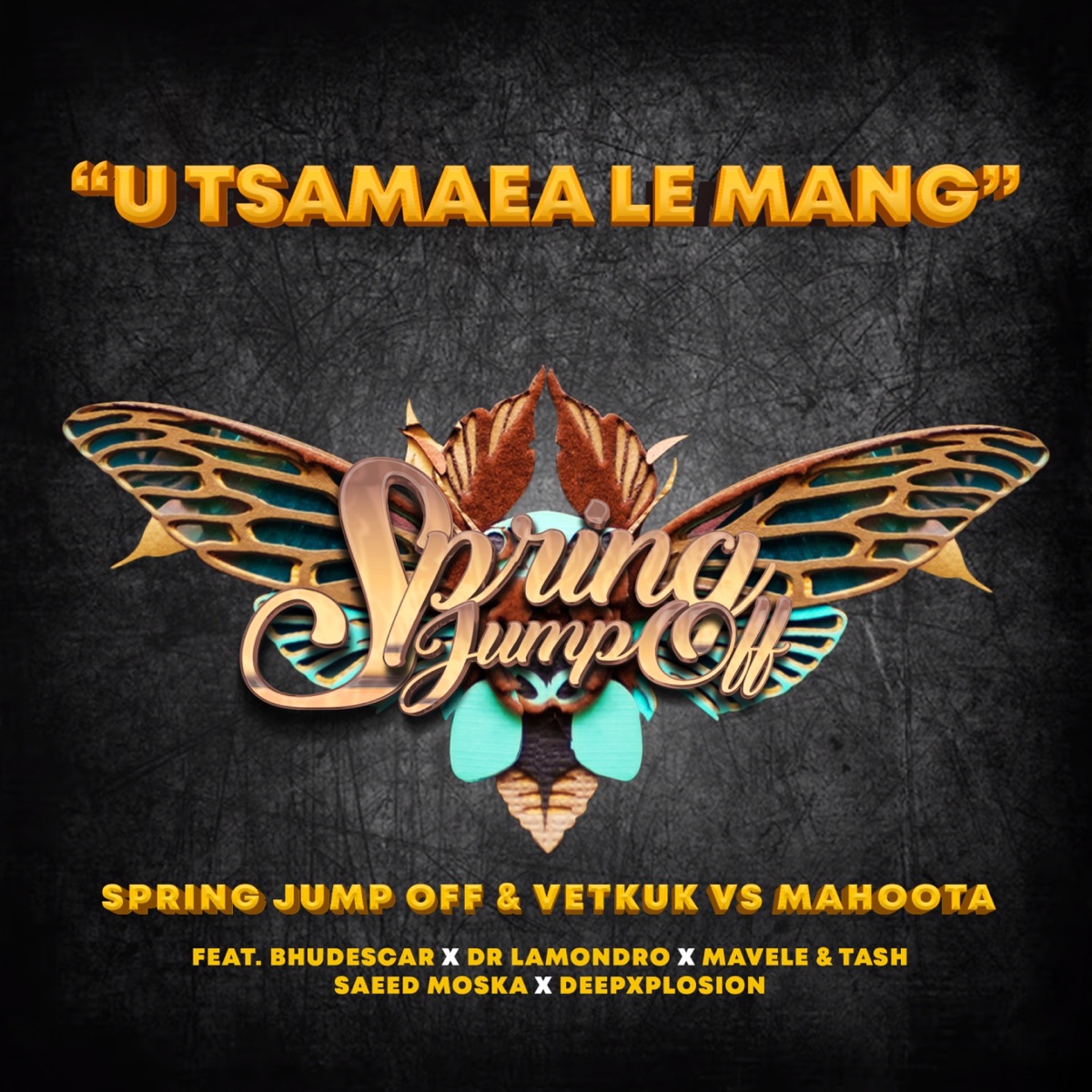U Tsamaea Le Mang (feat. Dr Lamondro, Mavele, Saeed Moska, Tash Ls, Bhudescar & Deepxplosion) - Single by Spring Jump Off, Vetkuk & Mahoota album cover