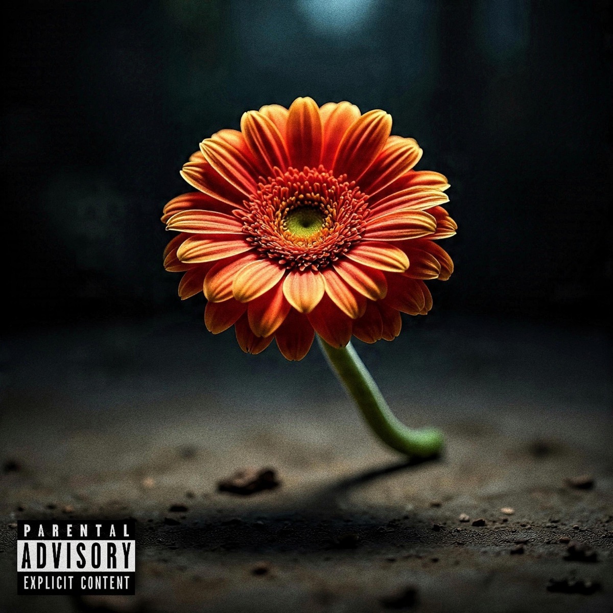 Efímero Love by AKA FUEGO album cover