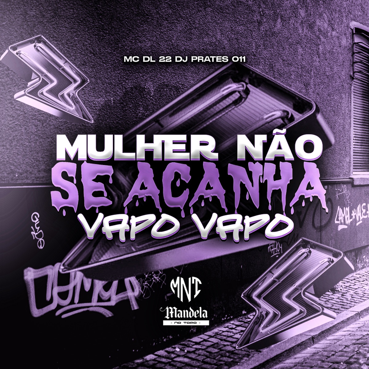 Mulher Não Se Acanha Vapo Vapo (feat. MC DL 22) - Single by DJ PRATES 011 album cover