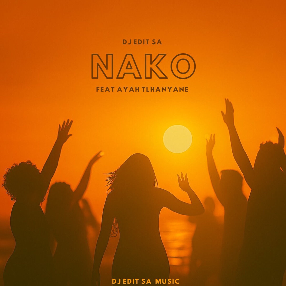 Nako (feat. Ayah Tlhanyane) - Single by DJ Edit SA album cover