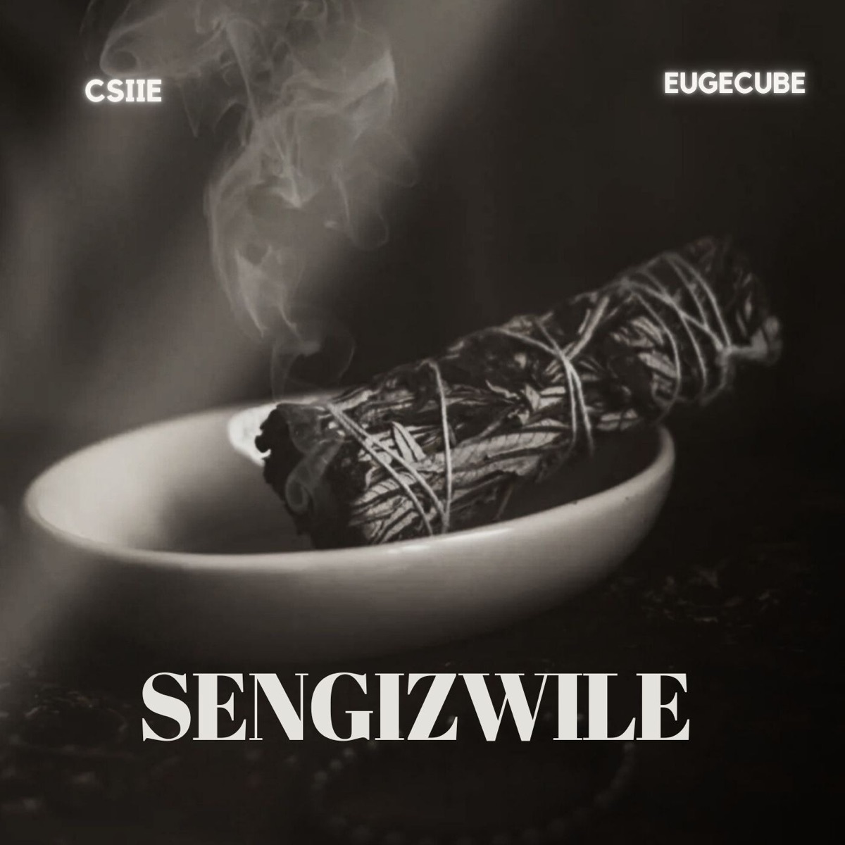Sengizwile - Single by Csiie & EugeCube album cover