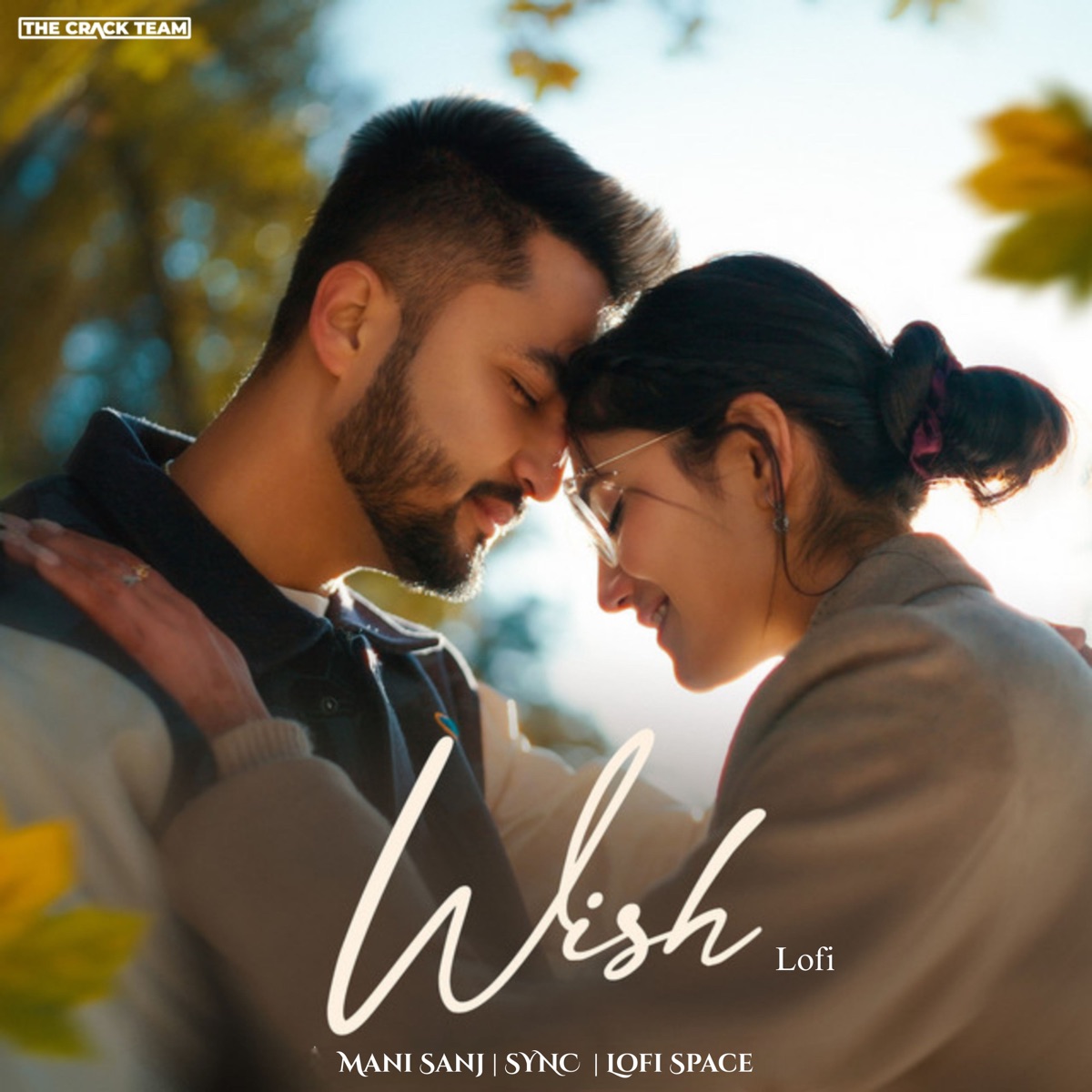 Wish (Lofi) - Single by Lofi Space, Sync & Mani Sanj album cover