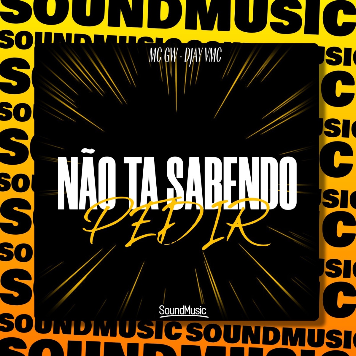 NÃO TA SABENDO PEDIR - Single by Mc Gw, DJAY VMC & SoundMusic Original album cover