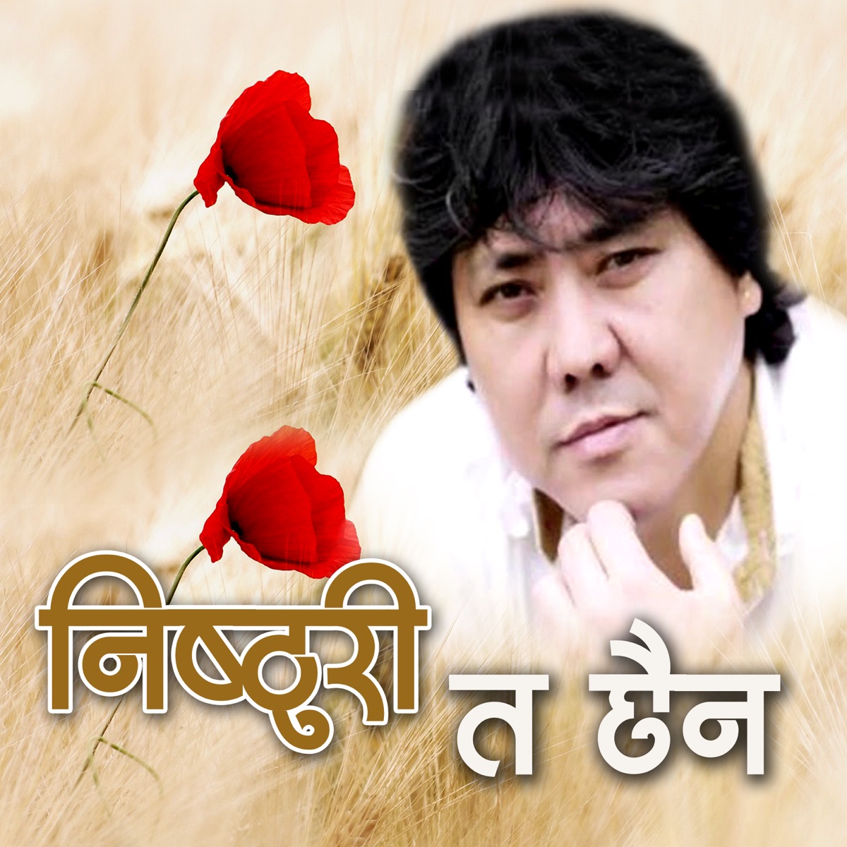 Nisthuri Ta Chhaina - Single by Indreni Digital & Thupden album cover