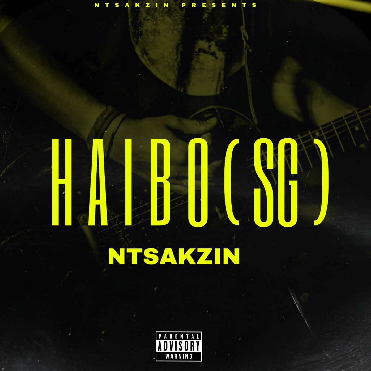 Haibo (SG) - Single by Ntsakzin album cover