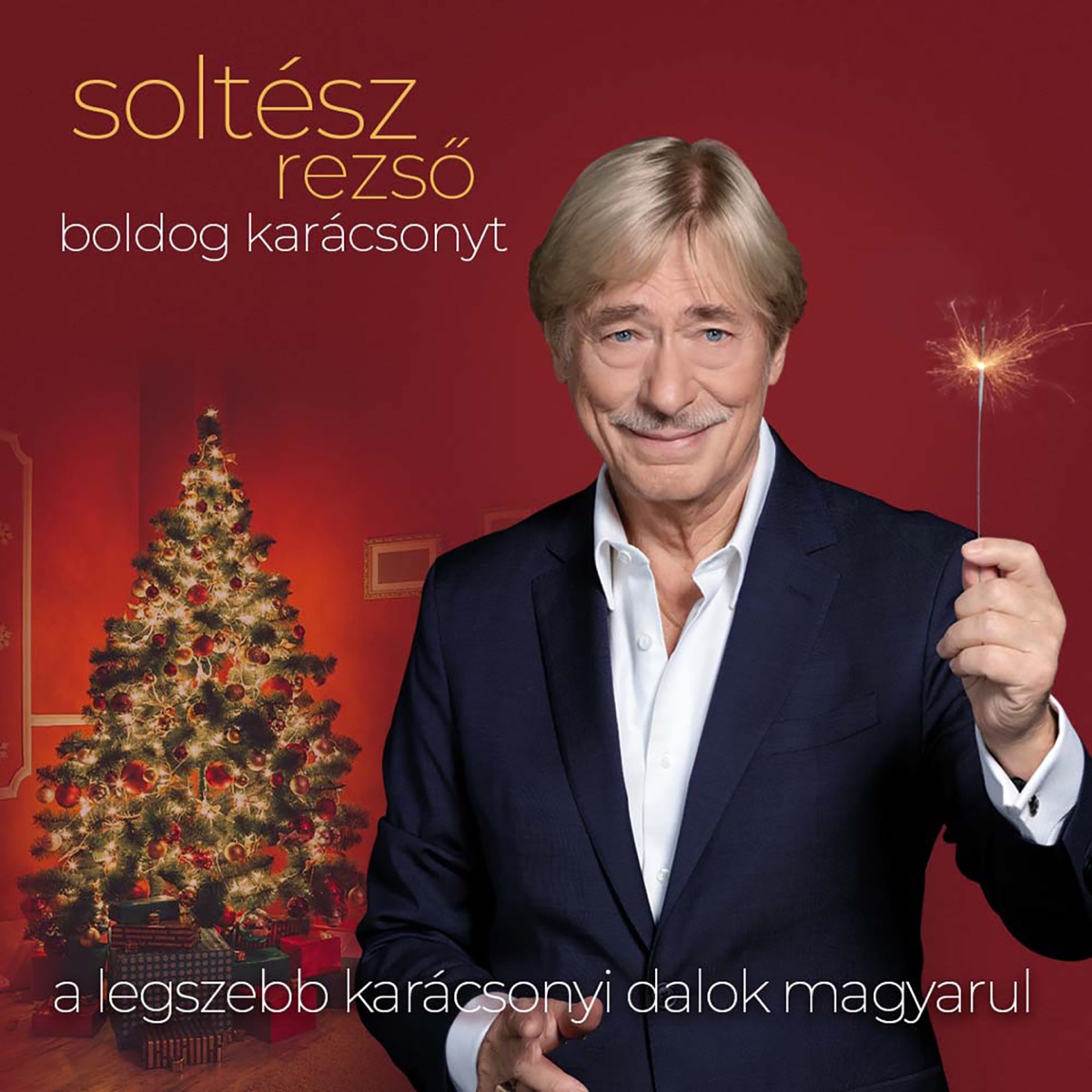 Boldog karácsonyt (A legszebb karácsonyi dalok magyarul) by Soltész Rezső album cover