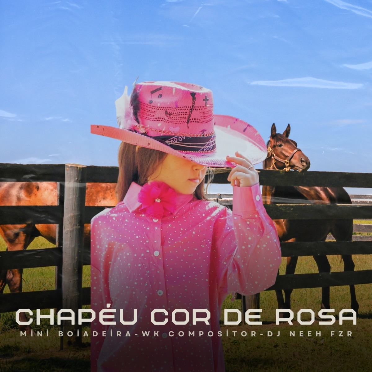 Chapéu Cor de Rosa - Single by MINI BOIADEIRA, Wk compositor & Dj Neeh FZR album cover