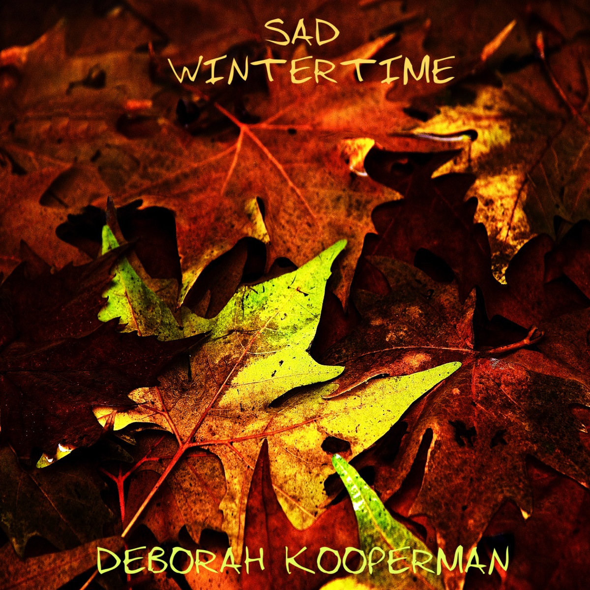 Sad Wintertime - Single by Deborah Kooperman album cover