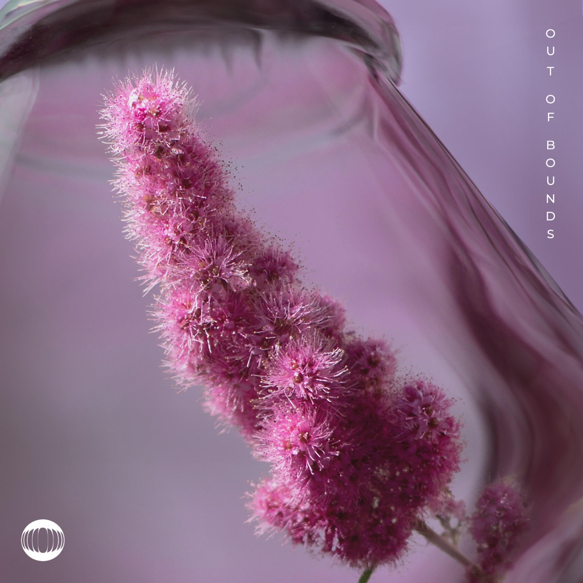 Out Of Bounds - Single by Koastle, Conrad & DLG. album cover