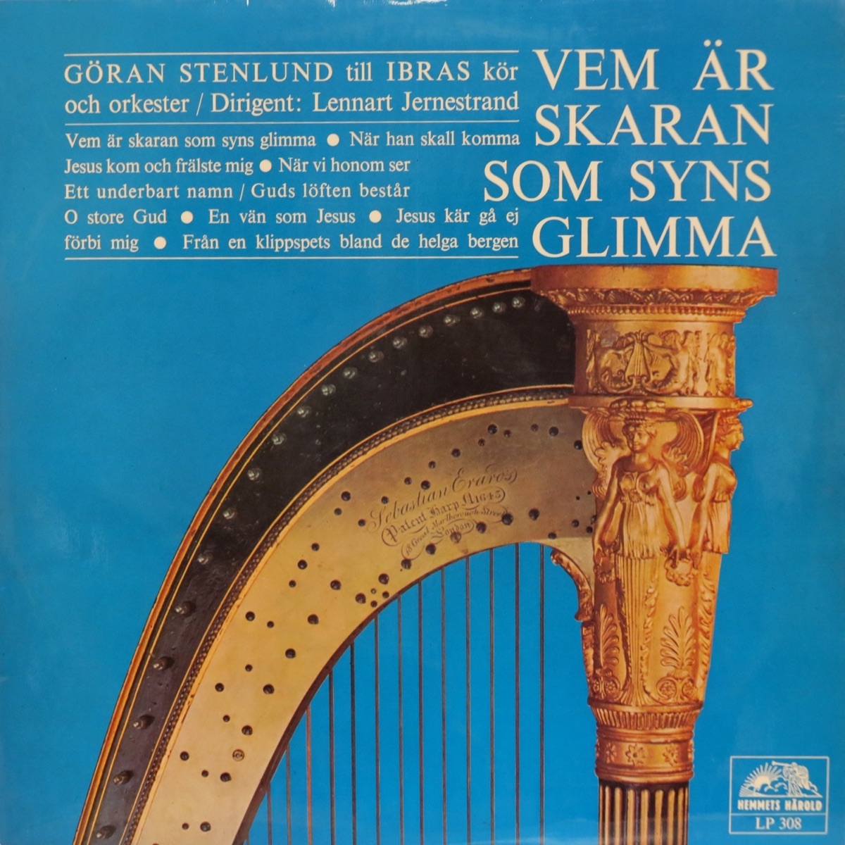 Vem är skaran som syns glimma by Goran Stenlund album cover