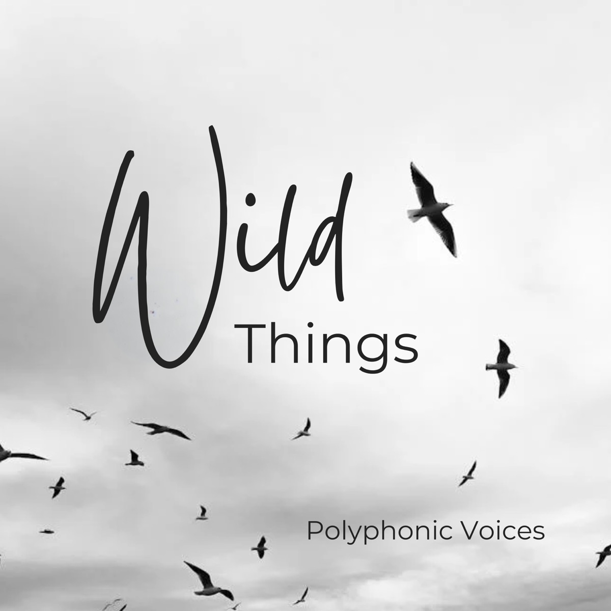 Wild Things - EP by Polyphonic Voices album cover