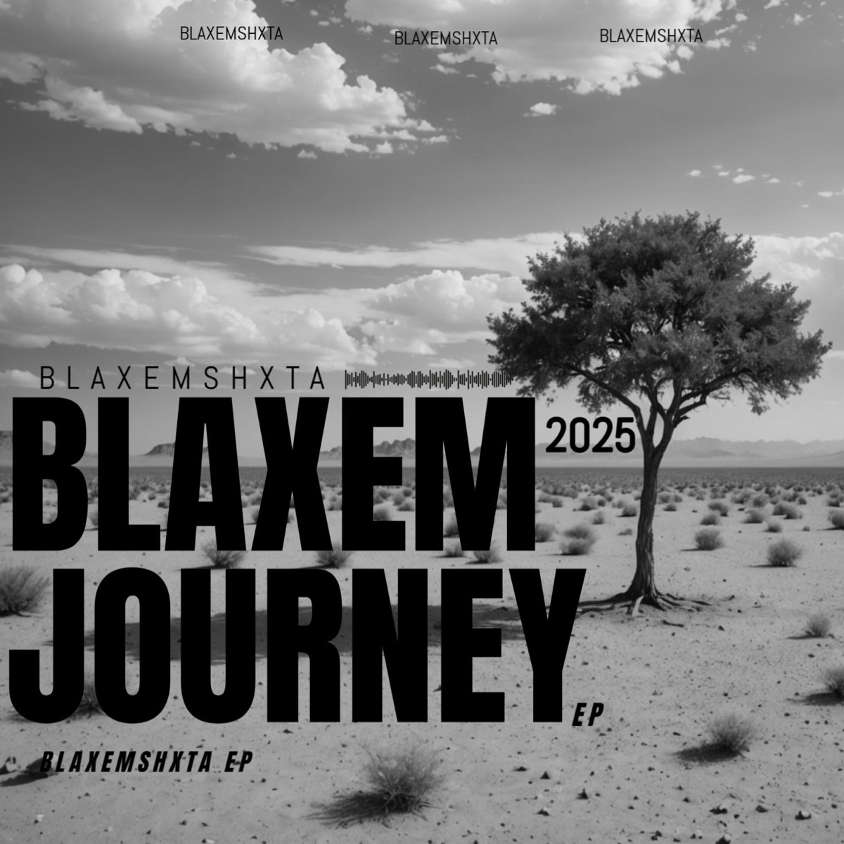 BLAXEM JOURNEY - Single by Macks SA album cover