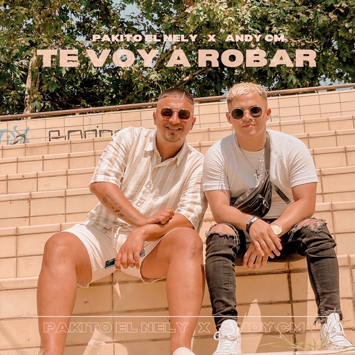 Te Voy A Robar - Single by Andy CM & Pakito El Nely album cover