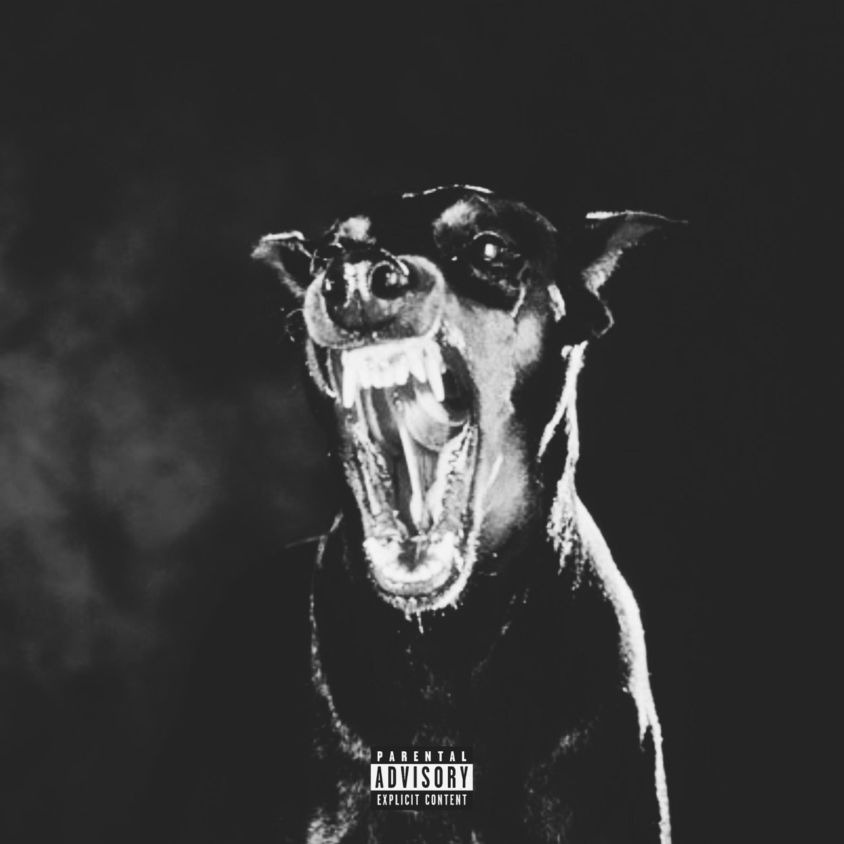 BRAVO! - Single by Antisankari album cover