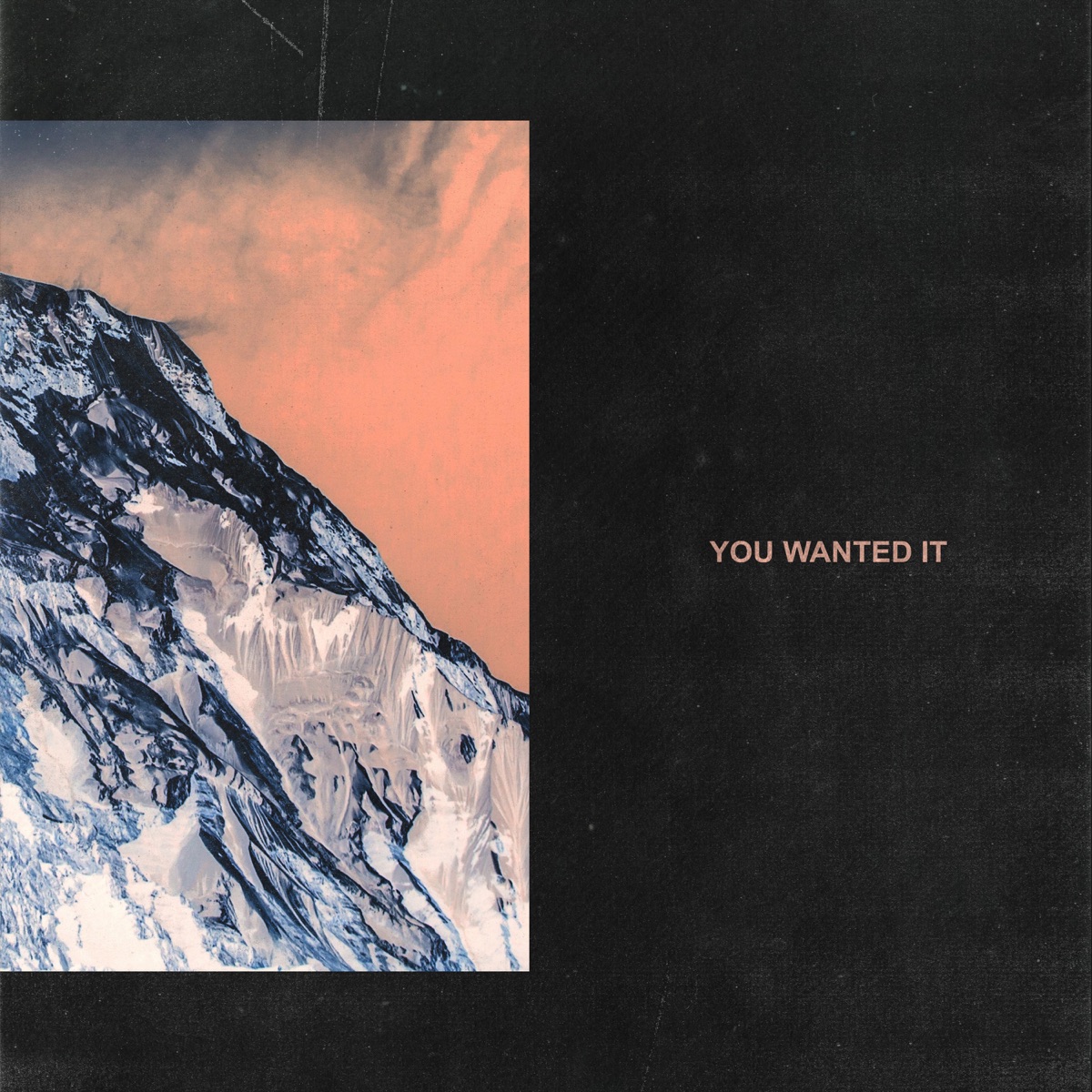 You Wanted It - Single by WHIPPED CREAM album cover
