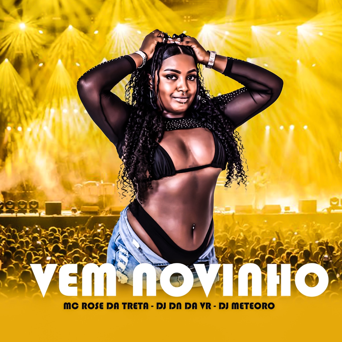 Vem Novinho (feat. DN O MAGO) - Single by Mc Rose da Treta, DJ DN da VR & Meteorodj Original album cover