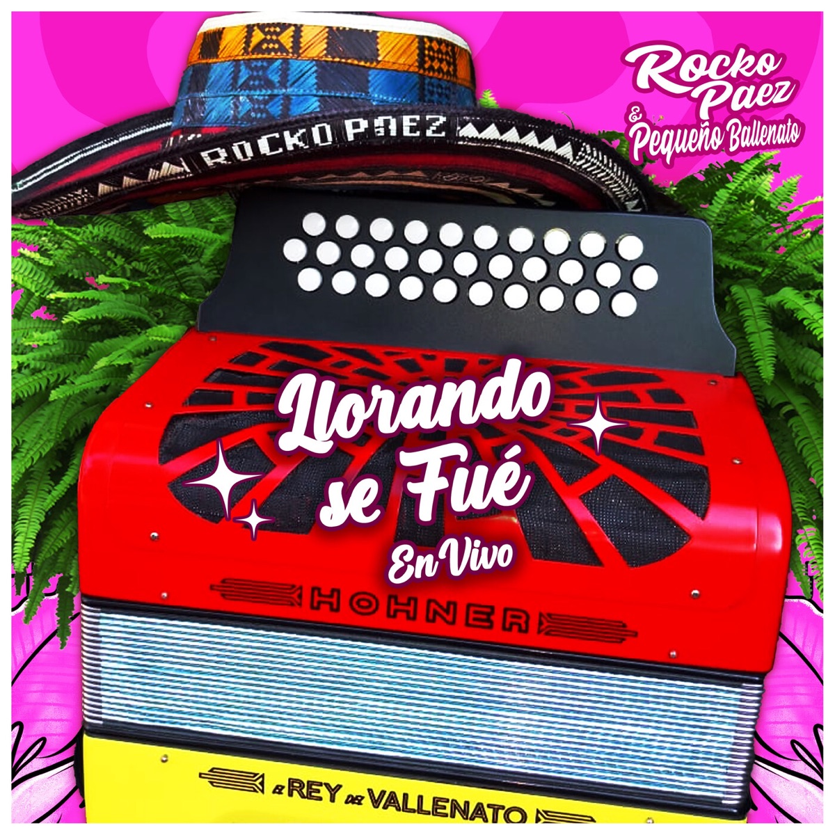 Llorando Se Fue (En Vivo) - Single by Rocko Paez album cover