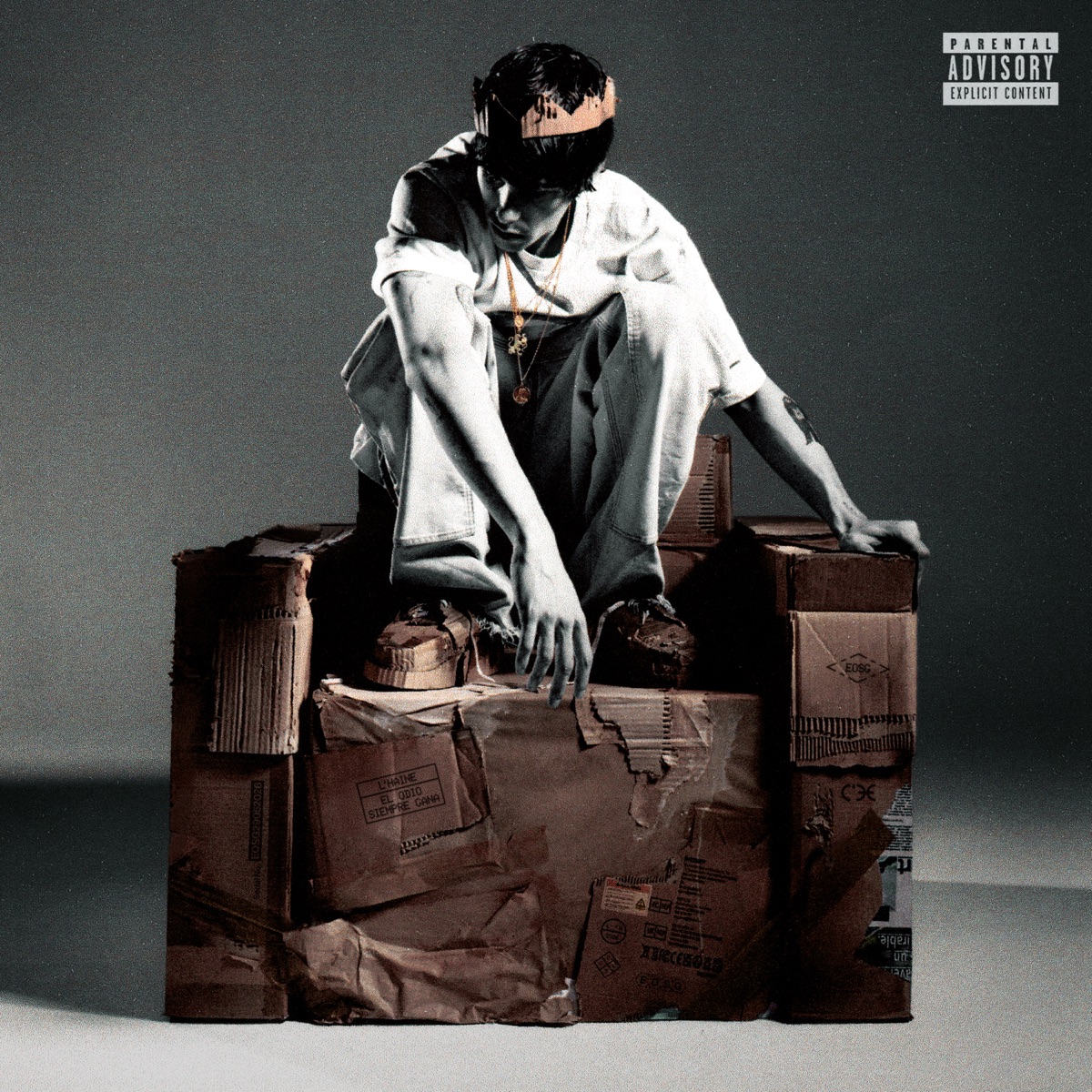 El Odio Siempre Gana by L'haine album cover