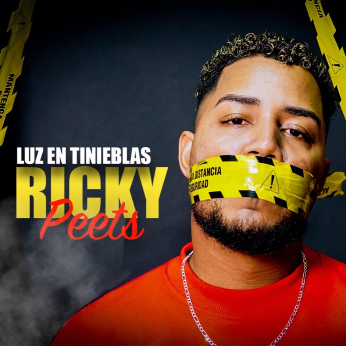 Luz En Tinieblas - Single by Ricky Peets & Heyser Beatz album cover