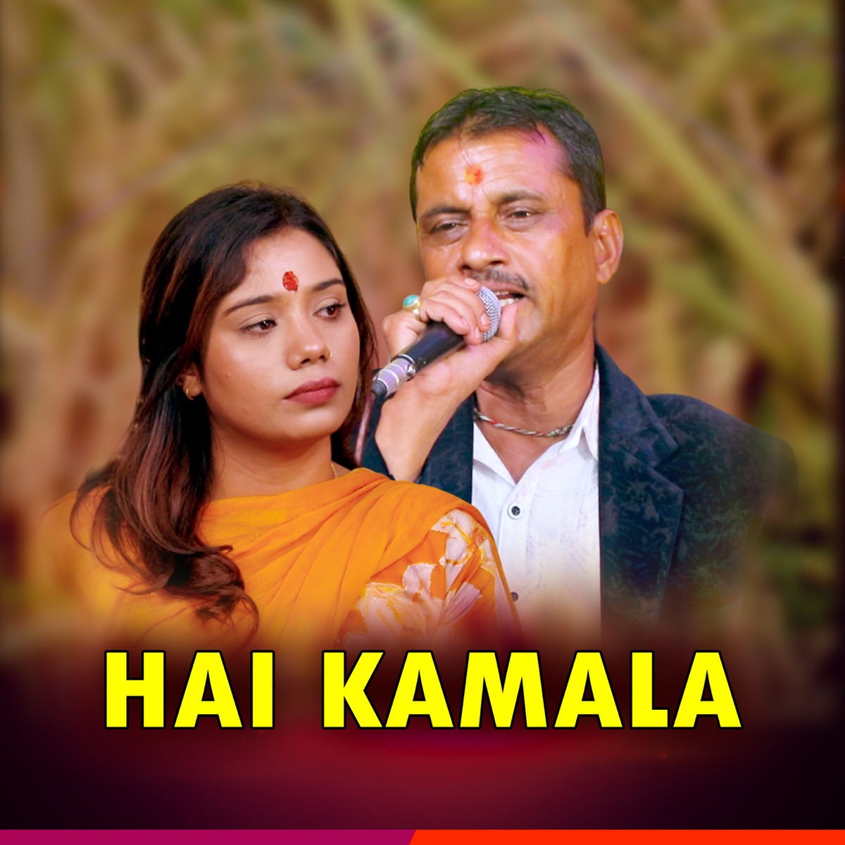 Hai Kamala - Single by Nabaraj Ghorasaini album cover