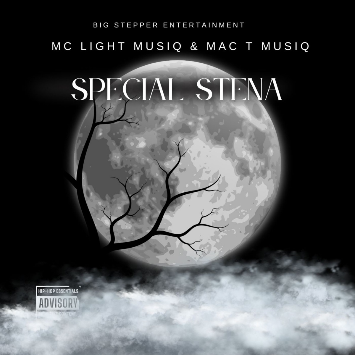 Special Stena - EP by Mc Light Musiq013 & Mac T MusiQ album cover