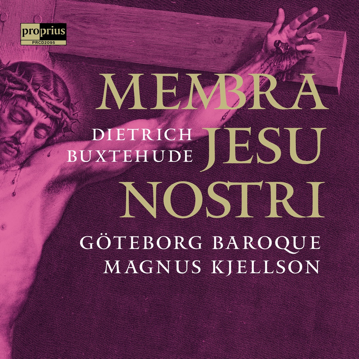 Buxtehude: Membra Jesu nostri, BuxWV 75 by Göteborg Baroque, Magnus Kjellson, Anna Jobrant, Karin Dahlberg, Ann Kjellson, Amanda Flodin, Tobias Nilsson, Leif Aruhn-Solén & Karl Peter Eriksson album cover