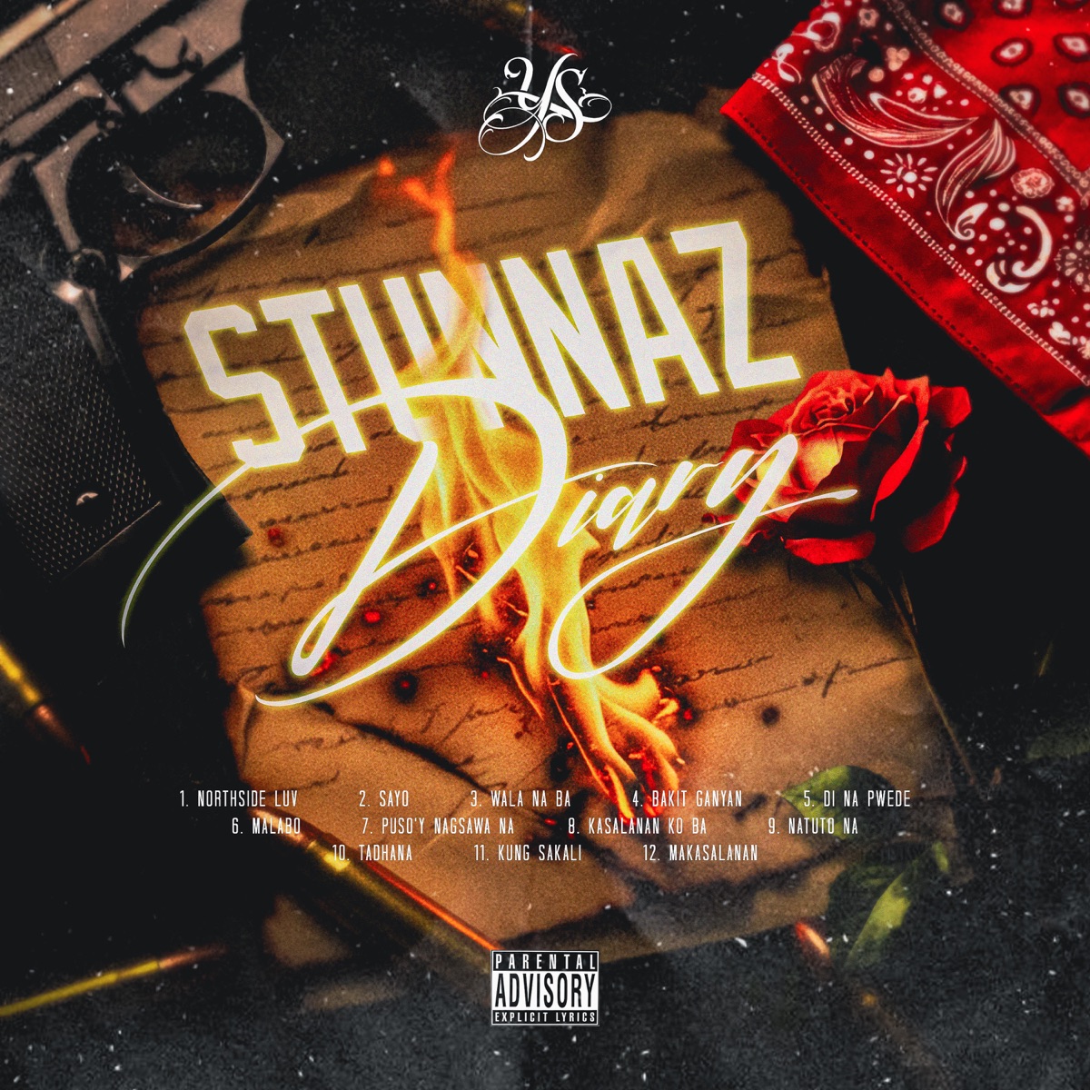 STUNNAZ DIARY by YS GVNG album cover