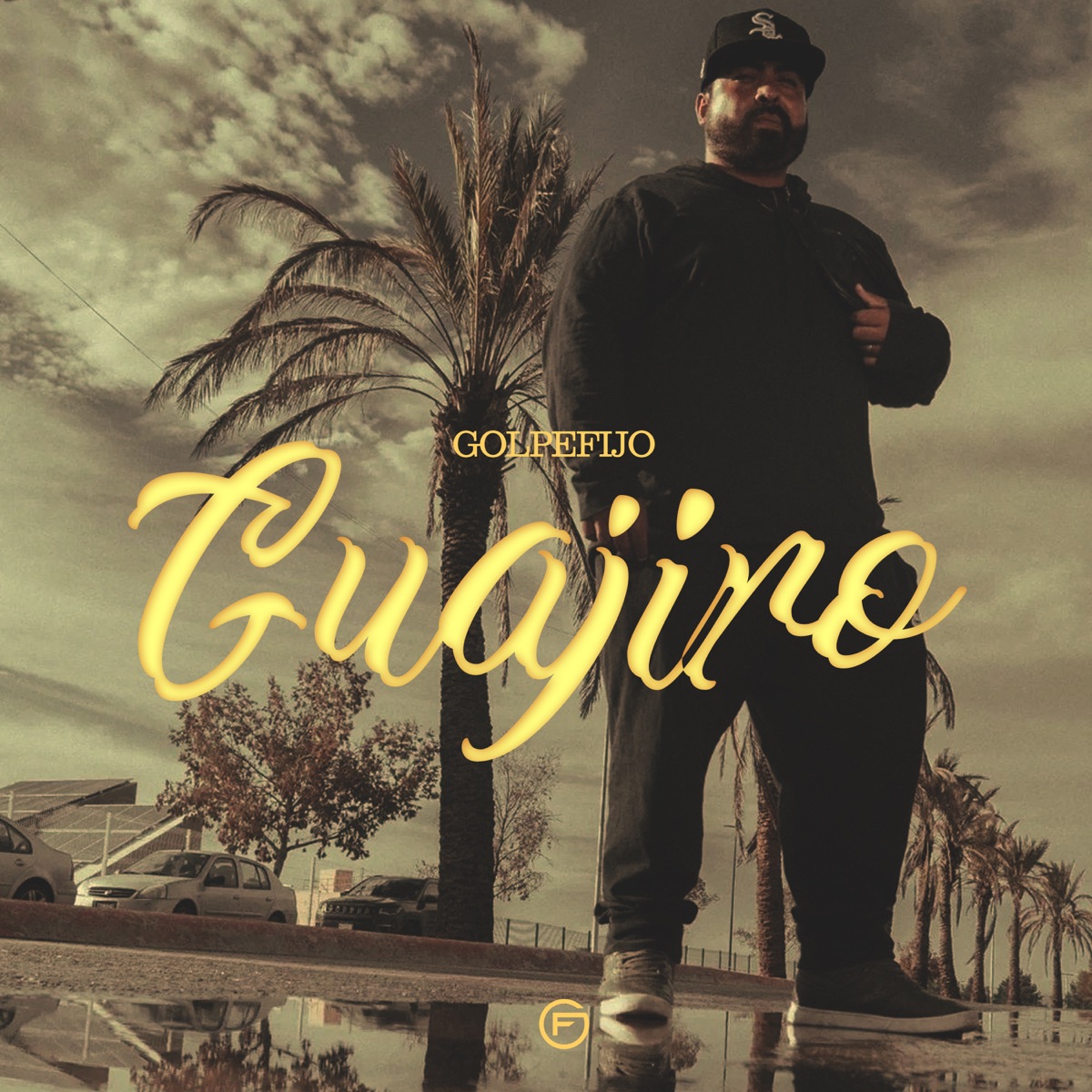 Guajiro - Single by Golpefijo & Jointer album cover