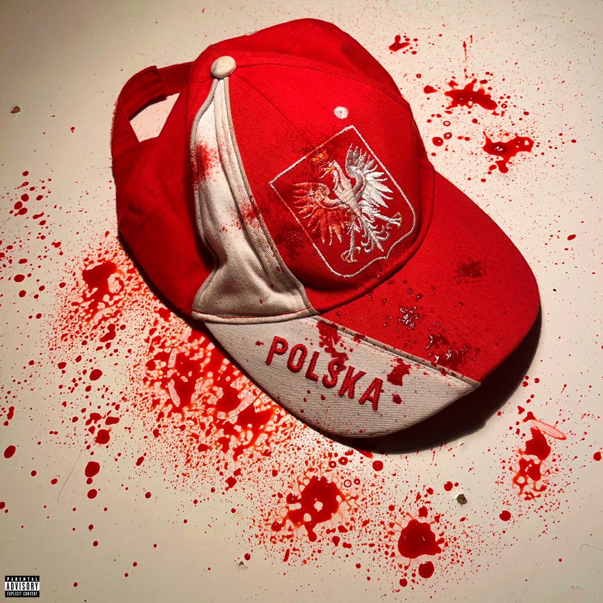 f*ck polish swag - Single by nvragain album cover