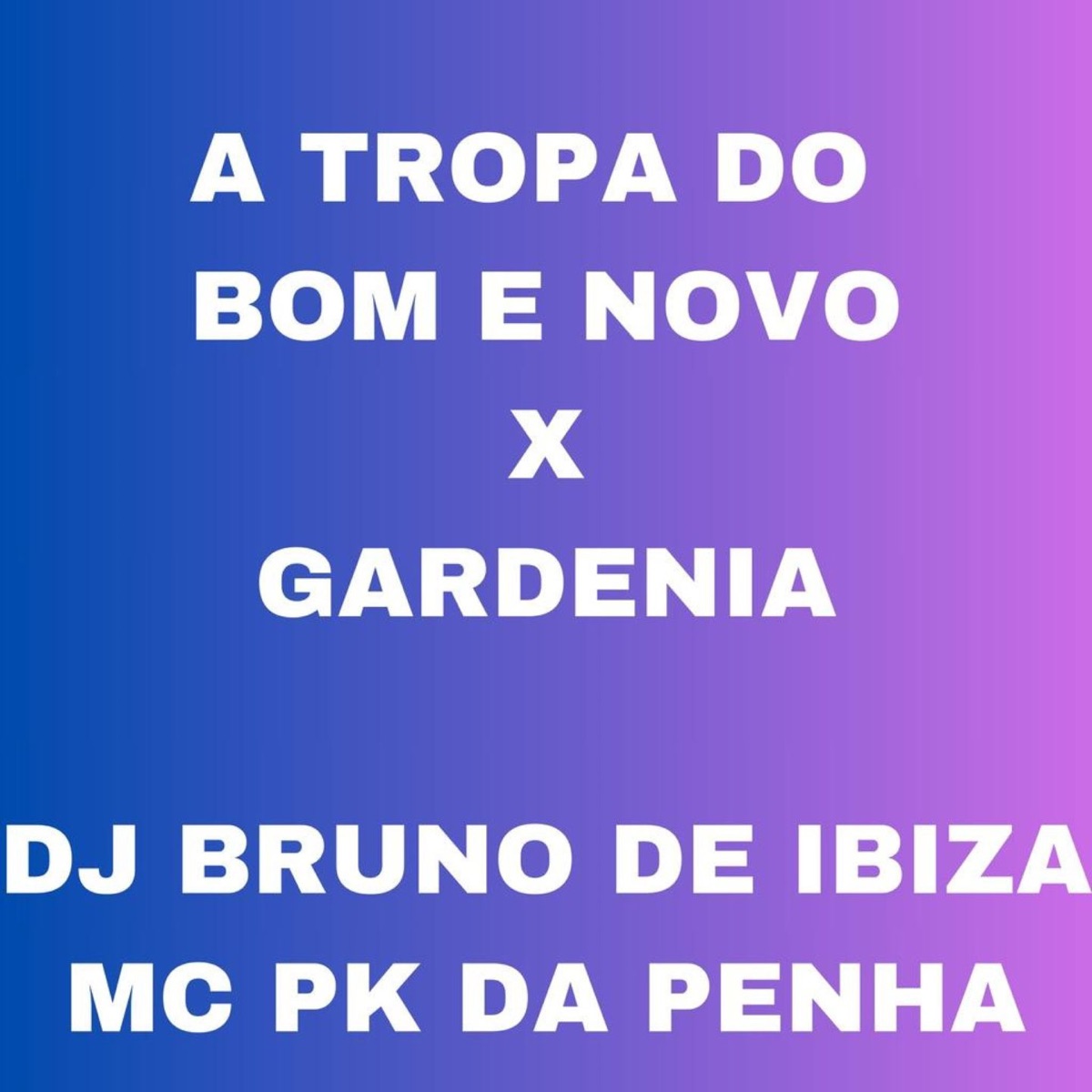 A TROPA DO BOM E NOVO X GARDENIA (feat. MC PK DA PENHA) - Single by DJ BRUNO DE IBIZA album cover