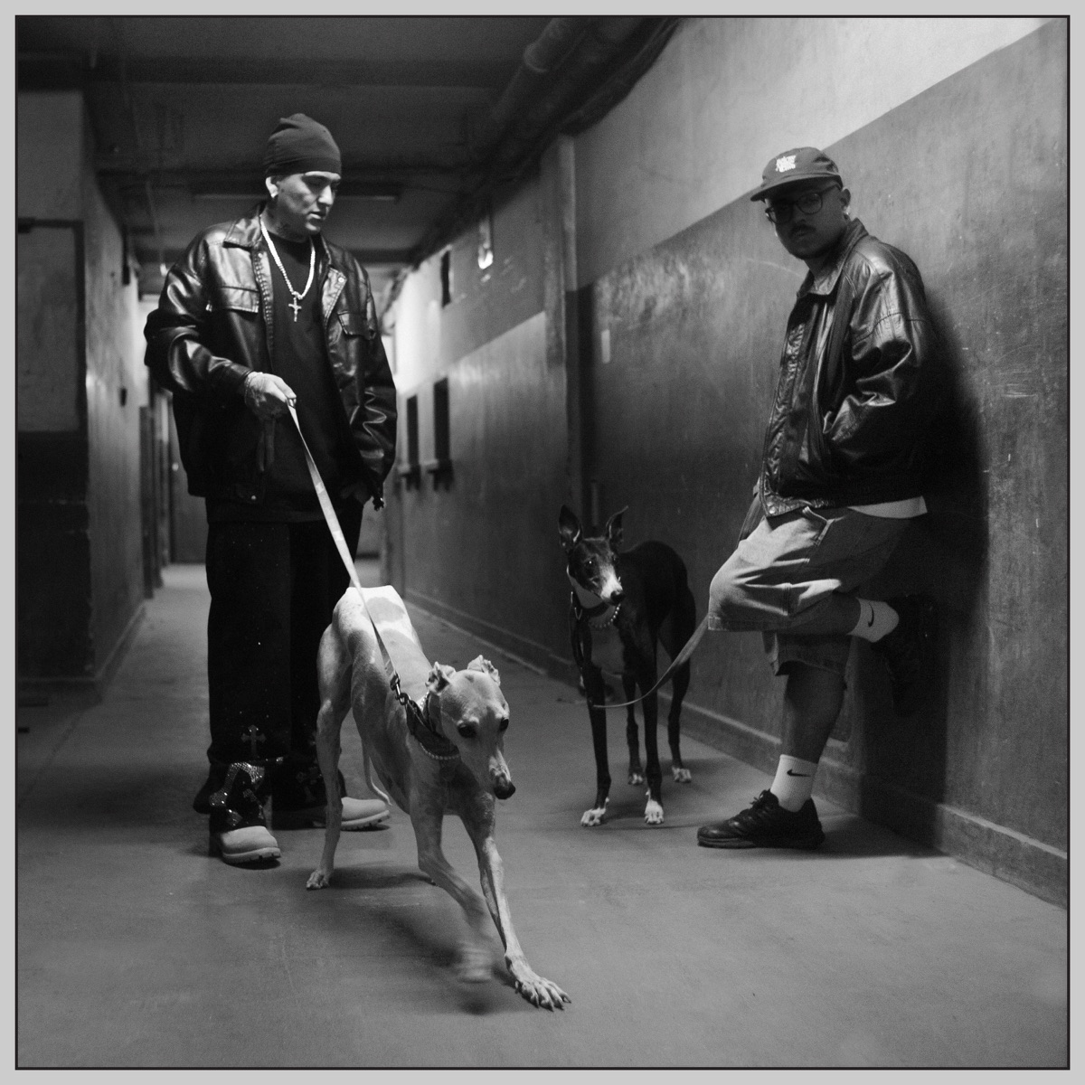 Cayendo Pa Arriba - Single by Zitolova, Douglass & Branko fetti album cover