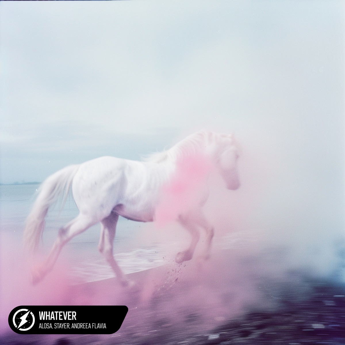 Whatever - Single by Alosa, Stayer & Andreea Flavia album cover